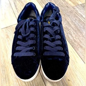 Sam Edelman Circus Velvet Sneakers